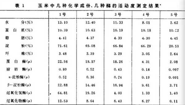 中国养猪网