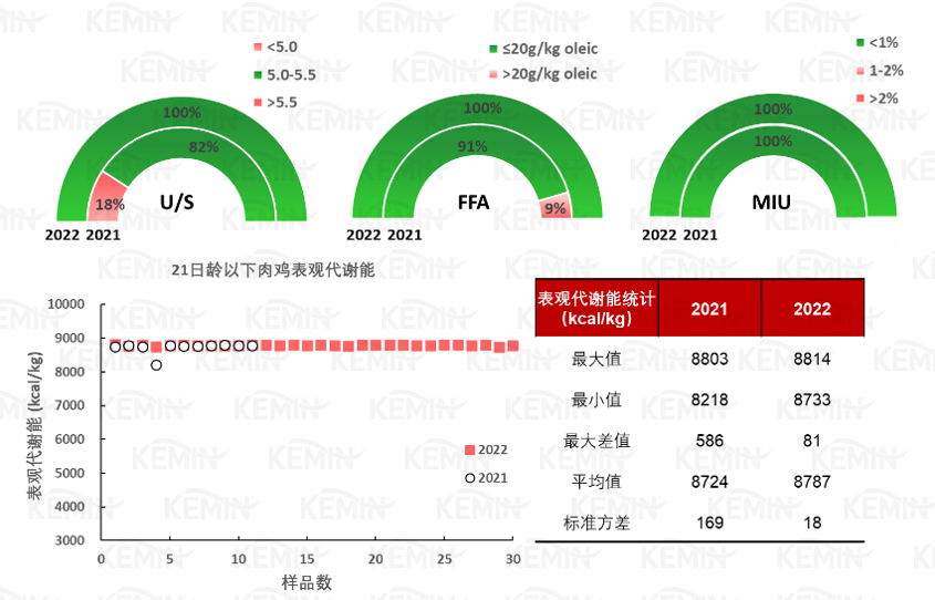 中国养猪网