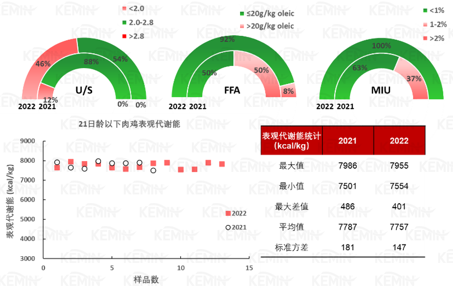 中国养猪网