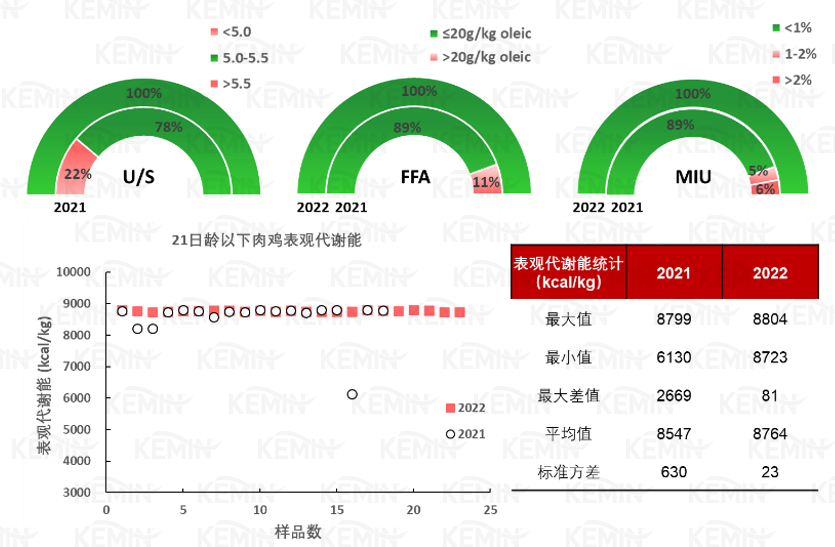 中国养猪网