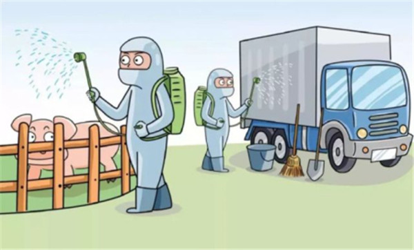 生物安全并非高大上的事情，家庭猪场如何做好生物安全？