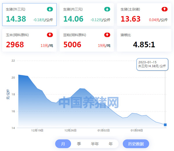 中国养猪网