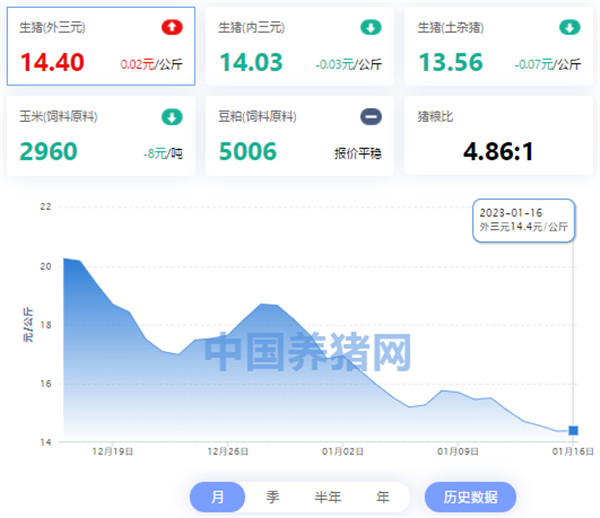 中国养猪网