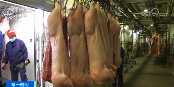 降降降！猪肉价格连降11周！过年终于能大口吃肉？