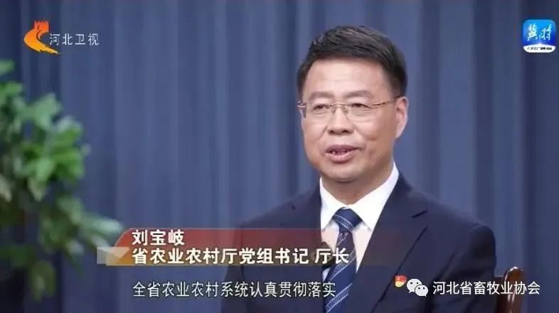 如何进一步推进中国式现代化河北“三农”场景？河北省农业农村厅党组书记、厅长刘宝岐这样说