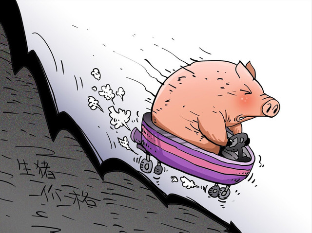 猪粮比价触发一级预警，养户亏本经营，猪价何时止跌？