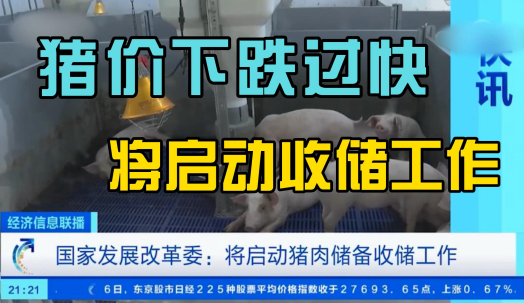 猪粮比价过度下跌一级预警区间，将启动猪肉储备收储工作！