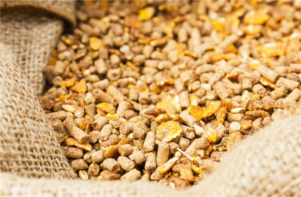 4月迄今巴西豆粕日均出口量同比增长23%