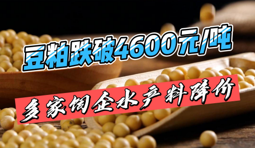 豆粕跌破4600元/吨！多家饲料企业开始降价！