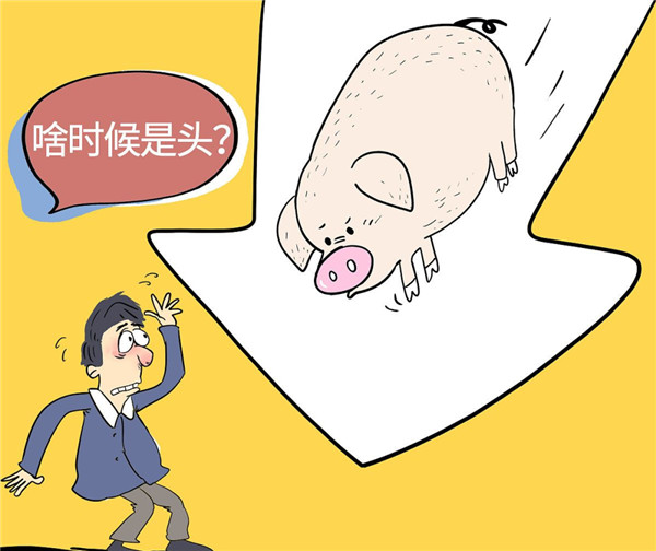 集团化猪企出栏增量，猪价冲高回落，还会反弹吗？