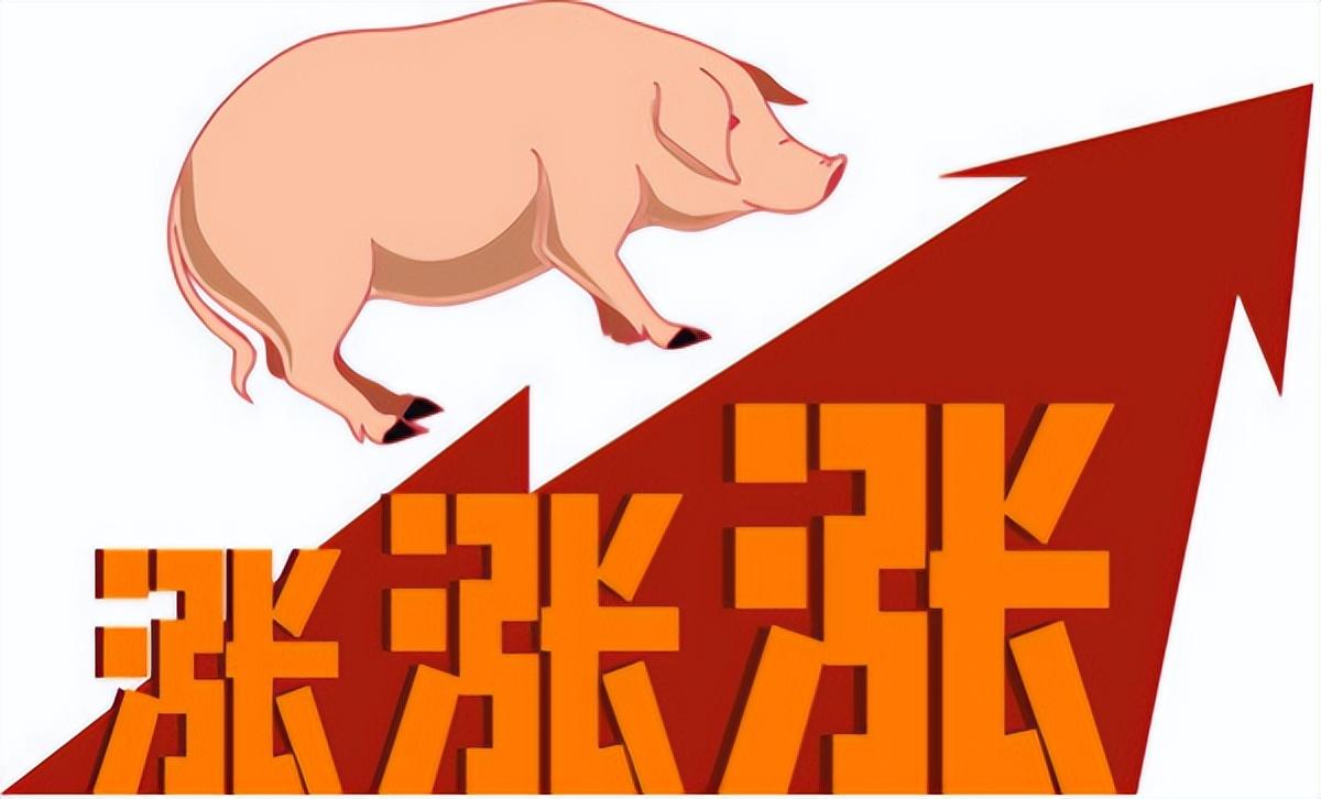 猪价2天涨1块！5大利好同时出现，这波涨势能持续吗？