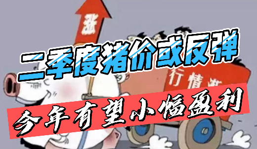 专家：二季度猪价或出现反弹！2023年猪价有望小幅盈利！