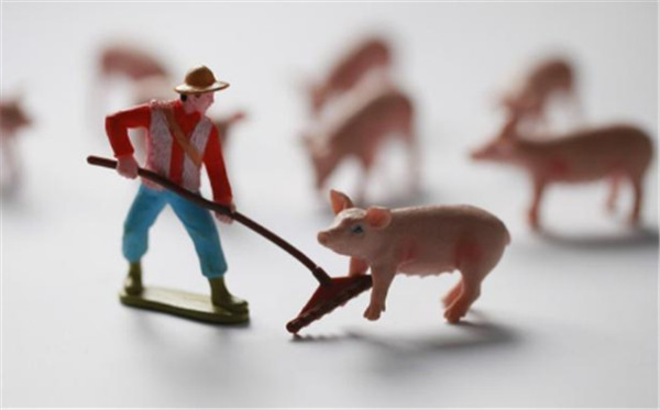 2万吨猪肉收储在路上，收储后猪价会涨吗？会大涨吗？