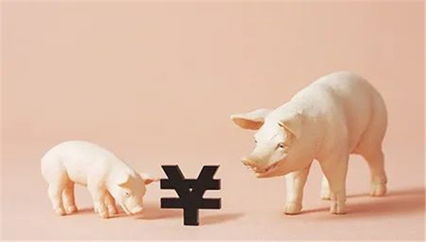 生猪“回暖”预期是否可靠？后续影响猪价的关注点分析