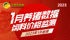 2023年1月养猪数据 饲料价格监测