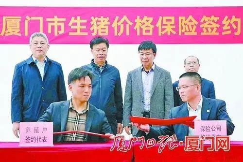 好消息！猪价低于“预期盈利”值，养户多可获得1200元/头的赔款，该地启动生猪价格保险业务