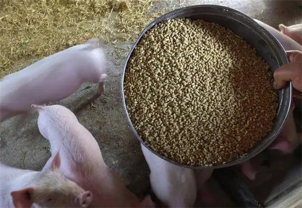 又跌了！豆粕价格跌回一年前，部分饲料企业开启“降价促销”模式