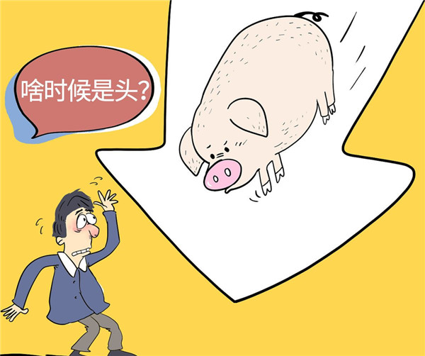 4连跌！猪价跌破“底线”，4月中旬猪价或将跌至14元/公斤左右？