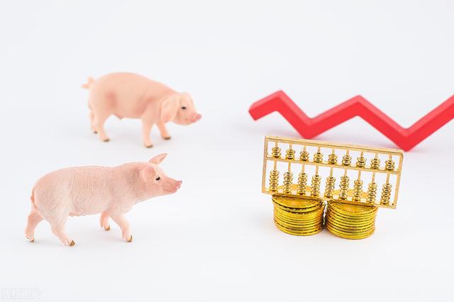 预计未来2个月生猪价格仍在15元/公斤左右徘徊？