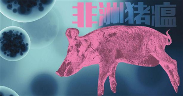 猪场如何防控非瘟？非洲猪瘟形式下猪场防控工作的现状与对策