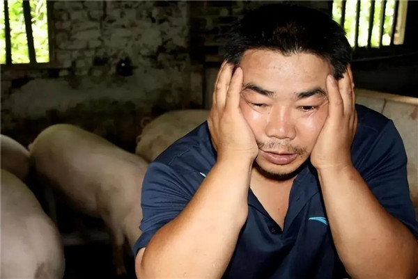预警！仔猪交易量下滑！两方面风险注定今年养猪仍是艰难的一年！