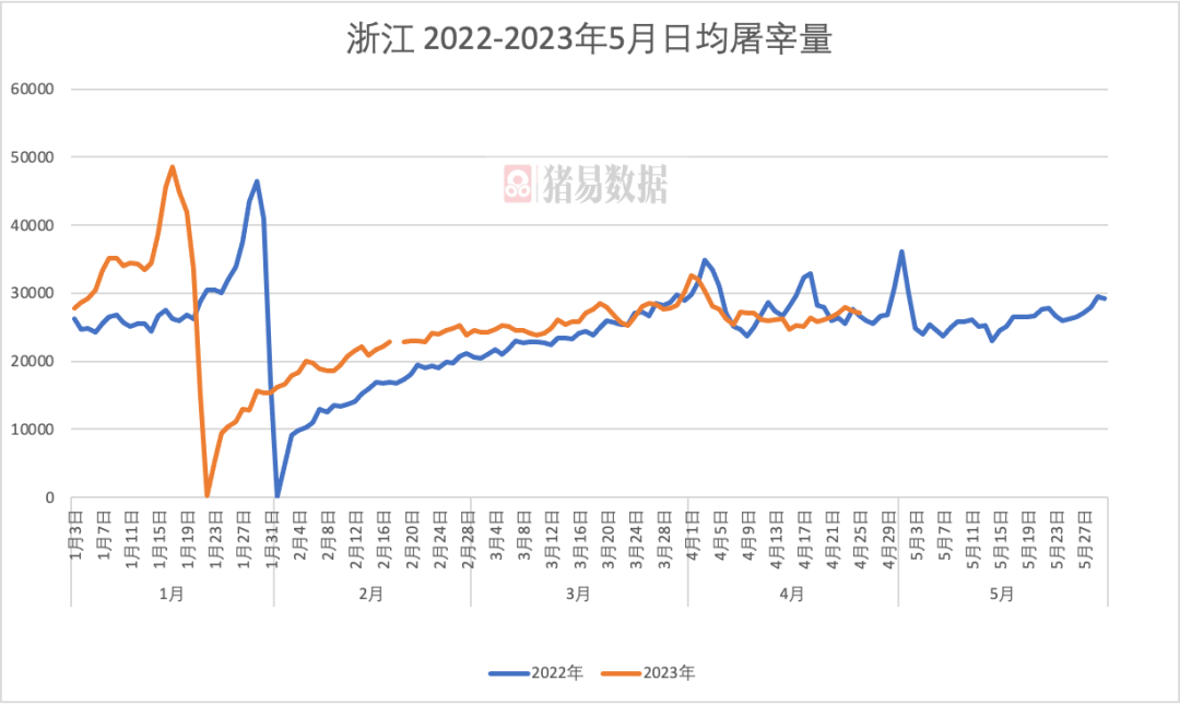 猪价上涨白条跟涨！涨太快消化不良？后续走势如何？