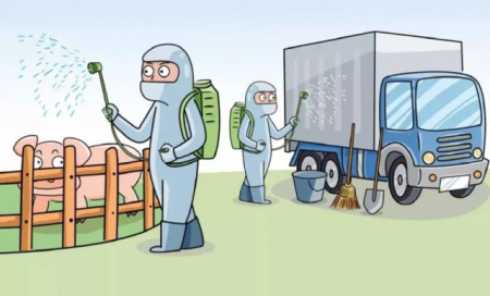 规模化猪场如何科学、规范、高效地做好消毒工作？