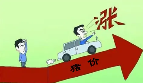 涨了个“寂寞”，下跌仍是主旋律？猪价涨涨跌跌难有明显“破局”的现象！