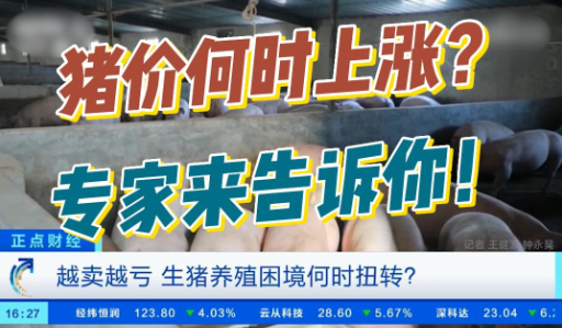 越卖越亏，上市猪企亏损上百亿！养猪困境何时逆转？