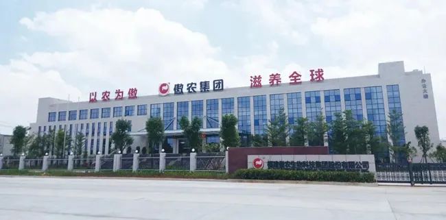 中国养猪网