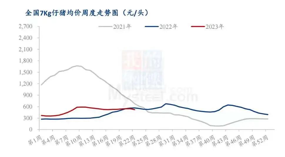 中国养猪网
