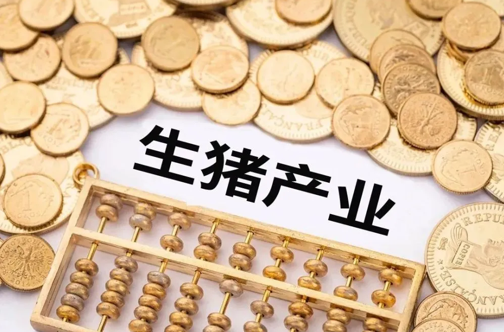 中国养猪网
