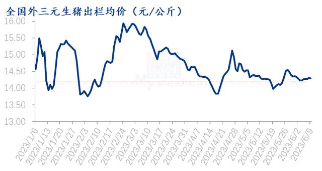 中国养猪网