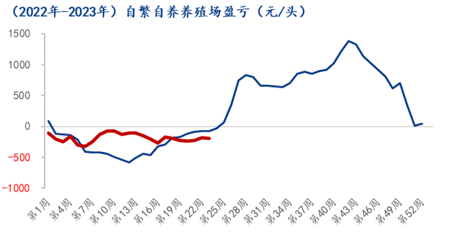 中国养猪网