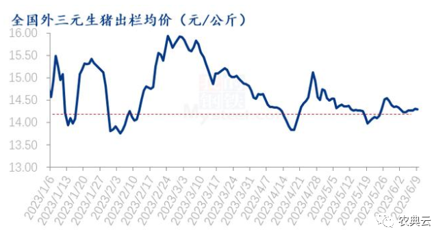 中国养猪网