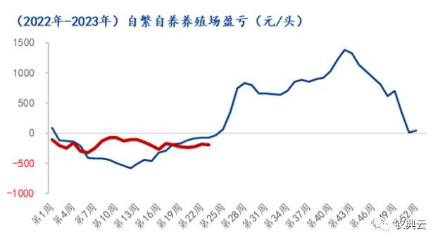 中国养猪网