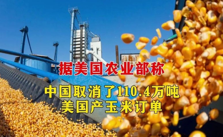 中国开辟多国玉米进口通道