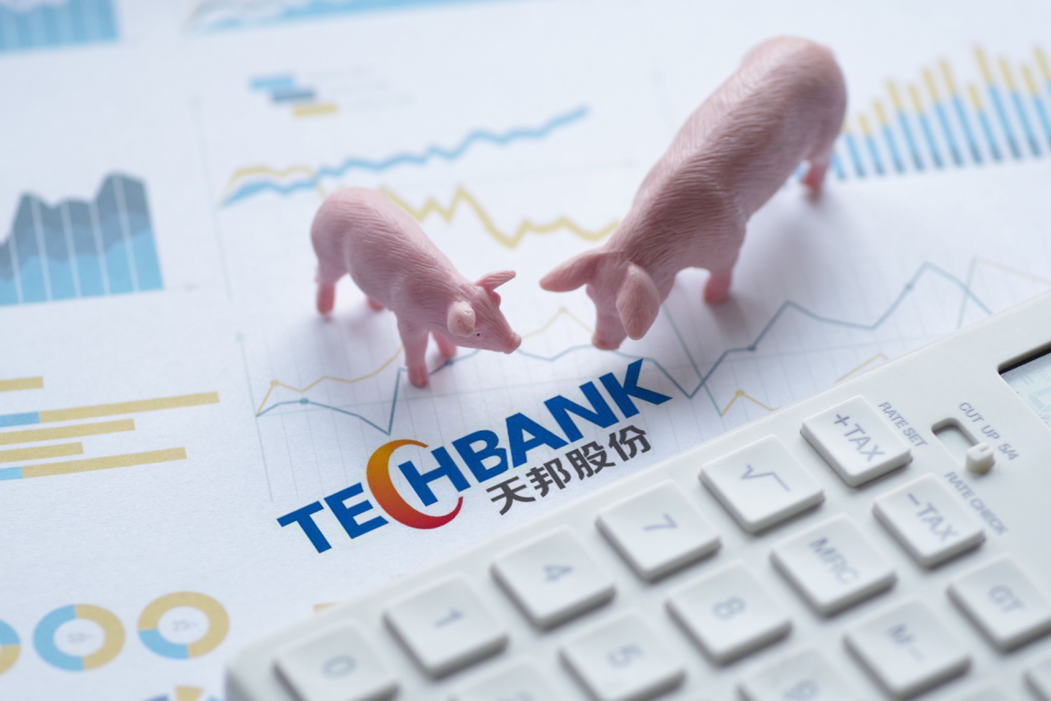 负债率83%，深陷“猪周期”魔咒中的天邦食品拟再募27亿解压！