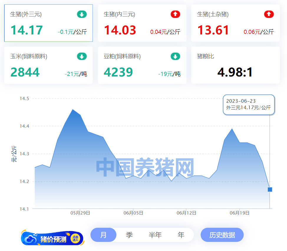 中国养猪网