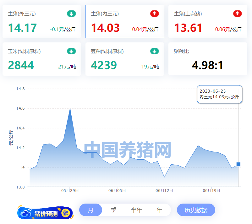 中国养猪网