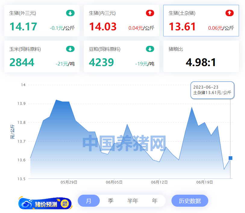 中国养猪网