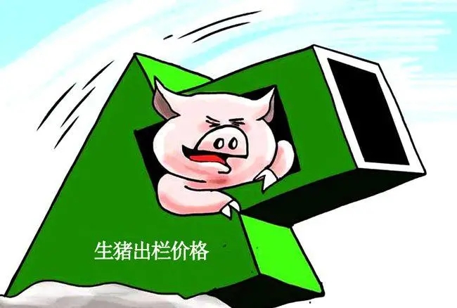 节后悲观情绪偏浓，生猪价格“跌不停”，官方猪肉收储的预期或将增强？