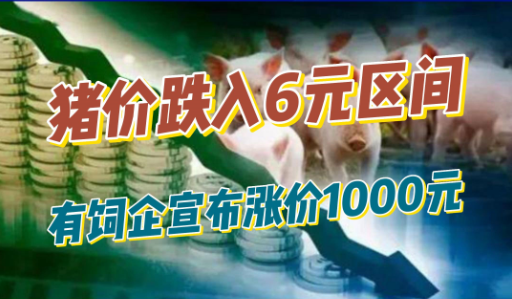 震惊！年内第三次！猪价跌入6元区间，有饲企宣布涨价1000元！