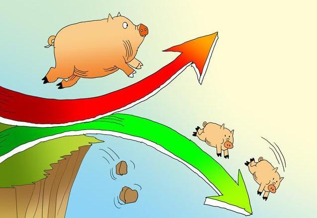 全国超71%降入“6字头”，猪价下跌的逻辑找到？