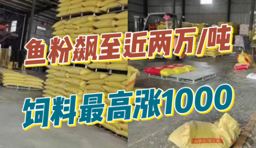 鱼粉飙至18000元/吨！饲企最高上涨1000元！