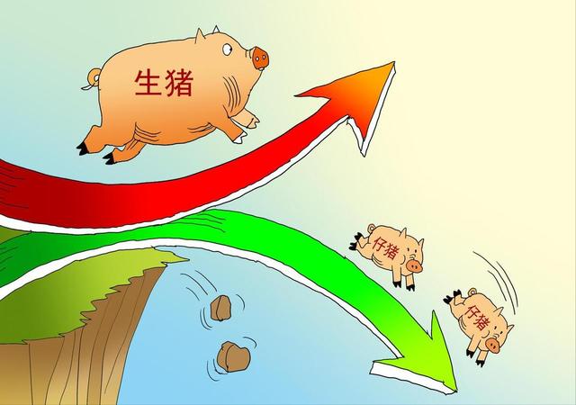 猪价跌惨，生猪均价跌破14元/公斤，重心持续向下突破！