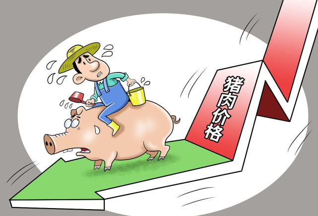 收储变成了“轮储”，猪价二次“破7”，猪价下跌或难以持续？