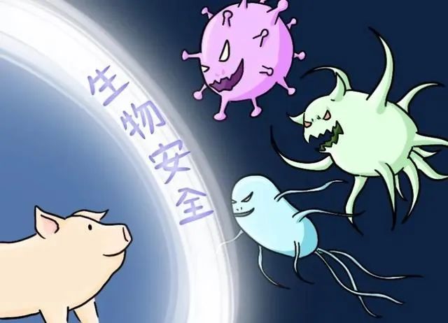 猪场生物安全的关键控制点有哪些？