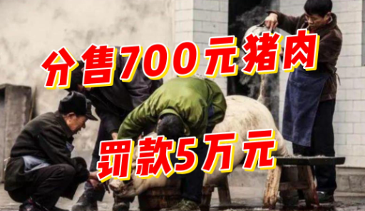 售卖700元家养猪肉！被罚款5万元！