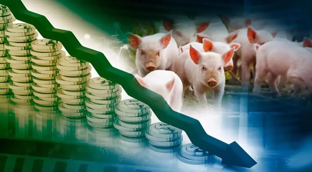 6月CPI为0，猪肉下跌成主要拖累，2万吨收储启动，猪价仍有温和上涨可能？